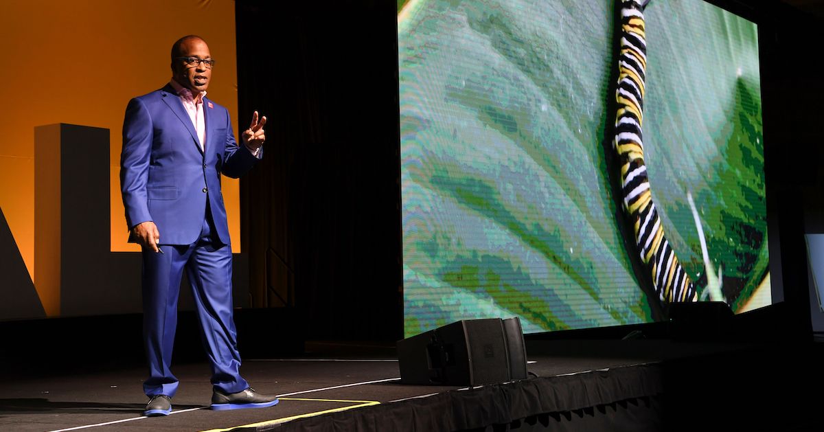 Bush, Michael - photo2 Bush, Michael - photo2