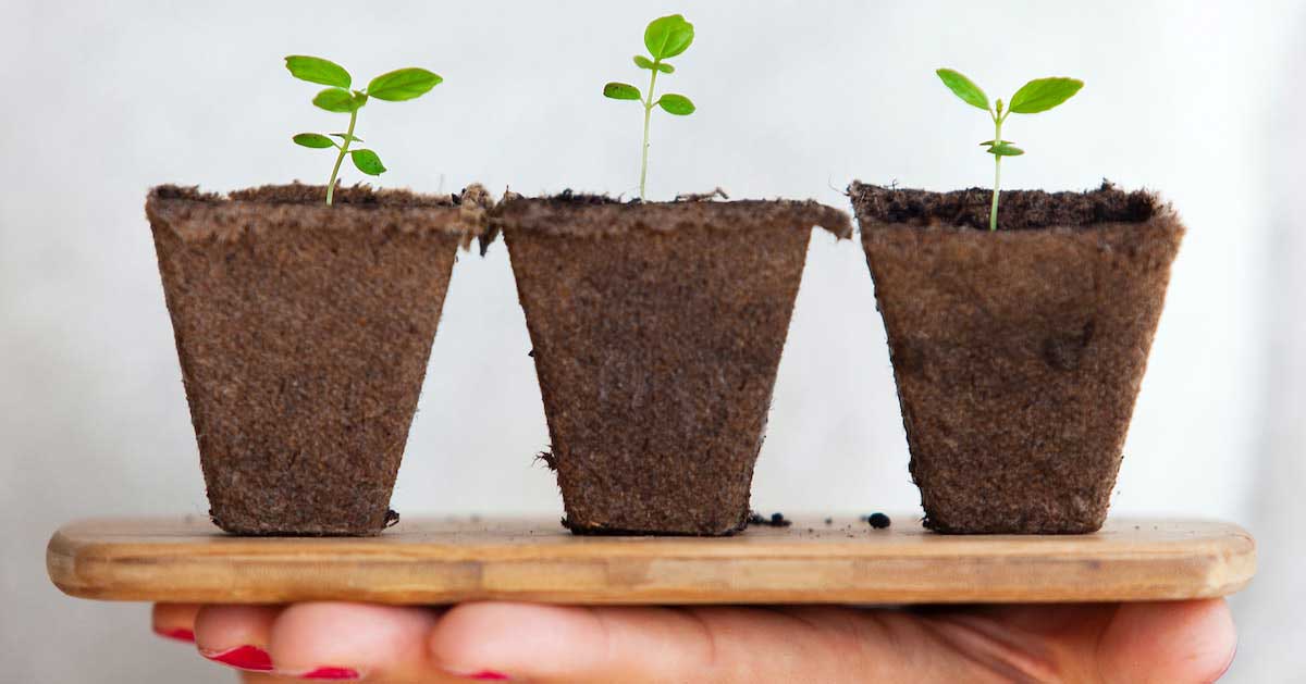 Maximize Your MPI Benefits - There’s a Community Waiting for You