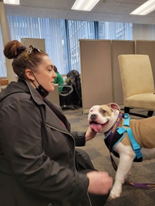 toffee3_-_adri toffee3_-_adri