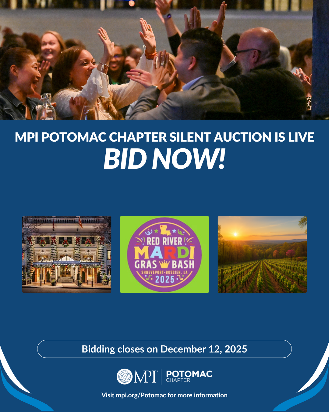 Silent Auction 2025 (4)