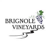 BrignoleVineyards-Sweatshirt-1