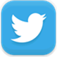 twitter icon