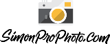 simon pro