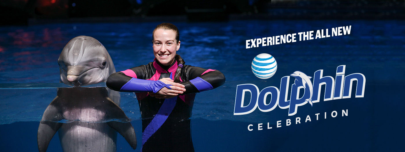 dolphin-celebration_1400x525