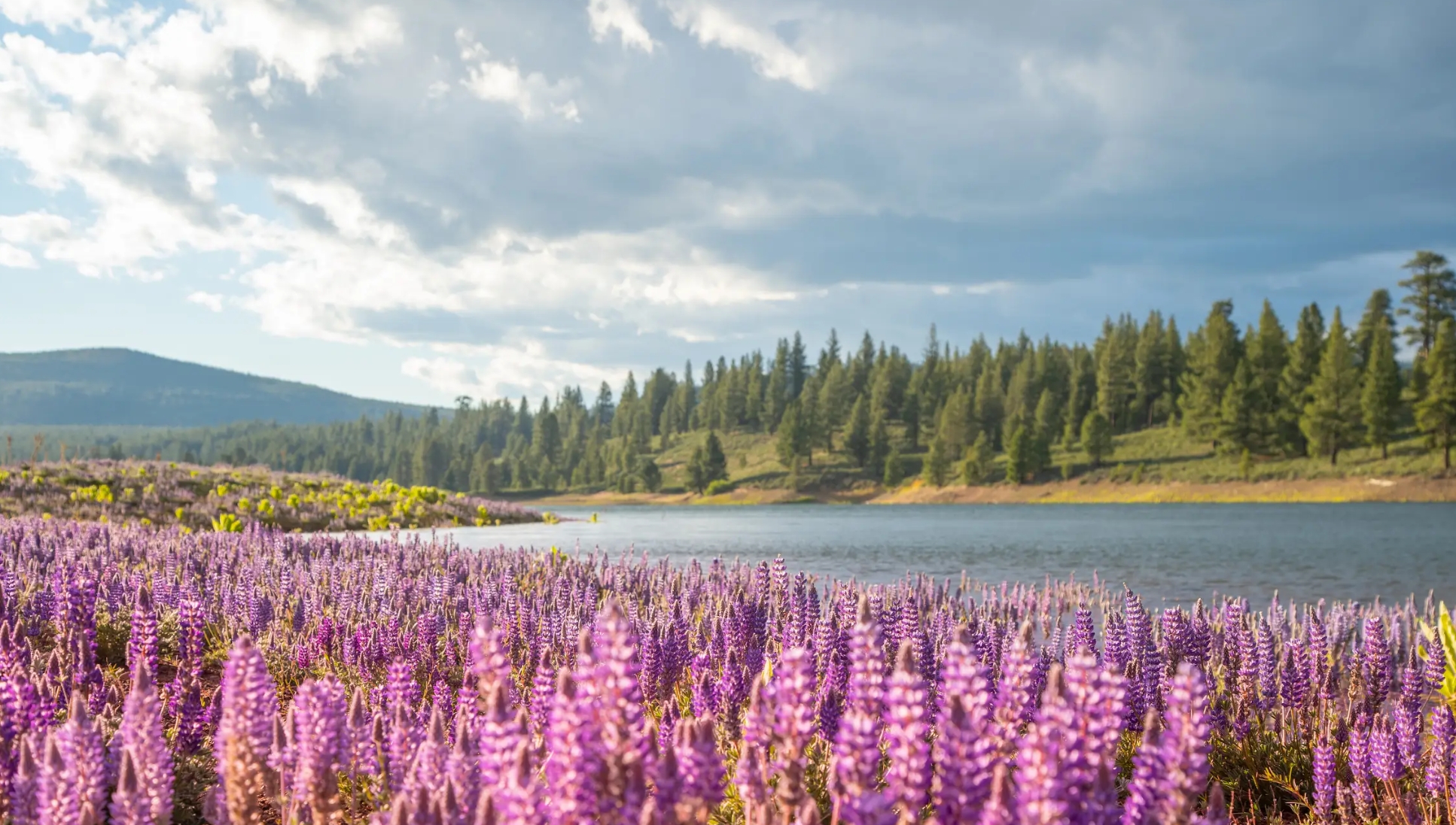 Screenshot_10-3-2026_114517_drive.google.com