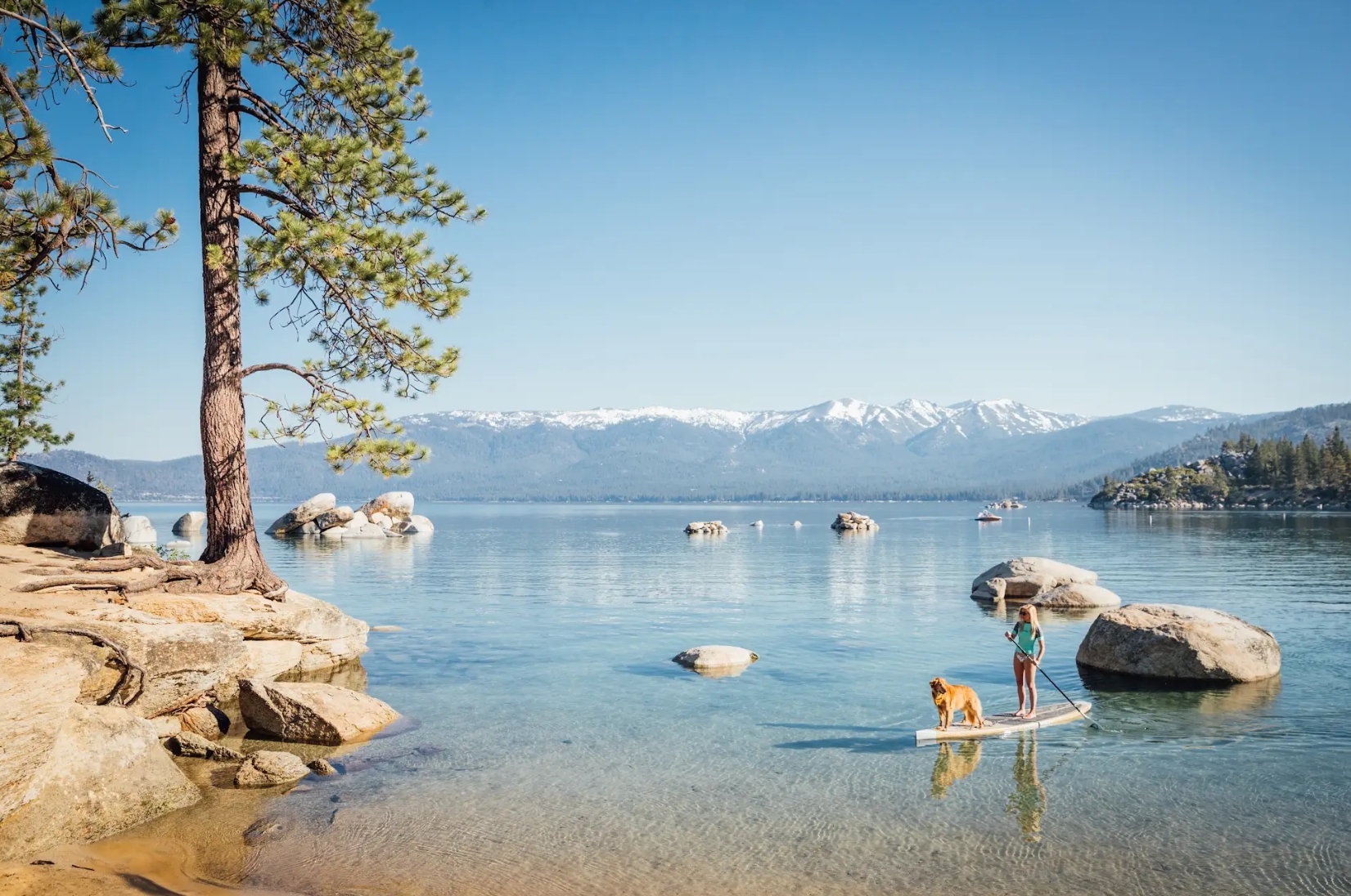 Screenshot_10-3-2026_114618_drive.google.com