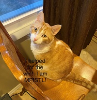 HolidayNetworking-Wibbenmeyer HolidayNetworking-Wibbenmeyer