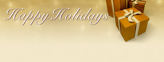 Holidays Banner
