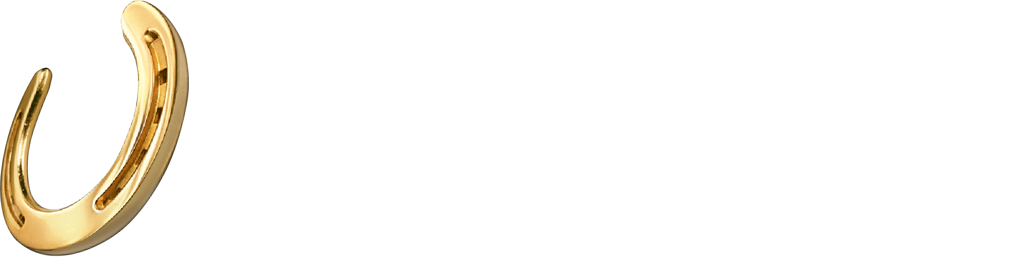 Horseshoe Bossier City Logo White Wrting on Black (1)
