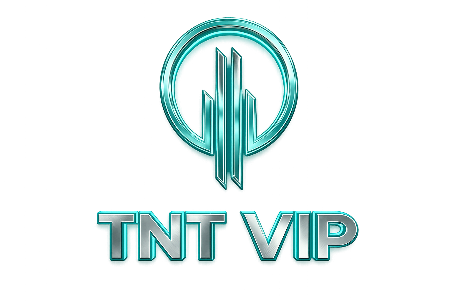 TNT VIP Logistics