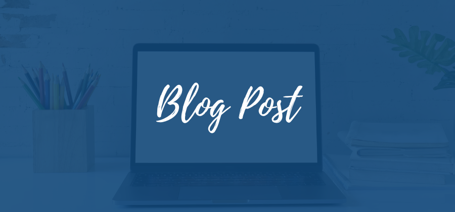 Blog Post Website Standard