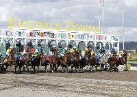 Emerald Downs 2