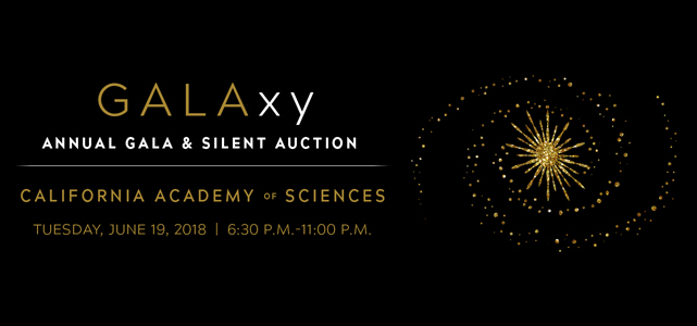 GALAxy-Revised2-GALAxy-Banner-642x300