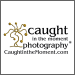 caught_in_the_moment