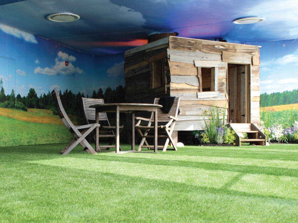 cours_arriere_photos-1024x768