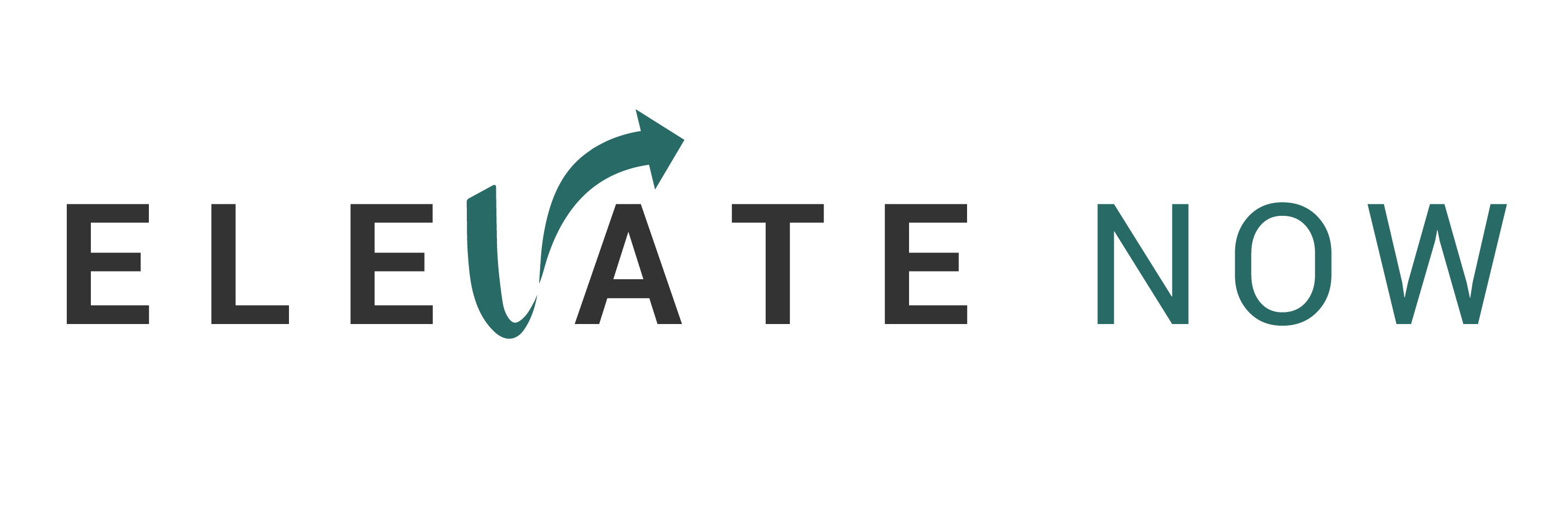 ElevateNow_Logo_NausheenSaumtally