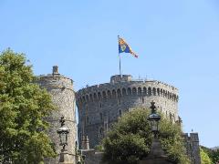 8-Royal-Standard-1 8-Royal-Standard-1