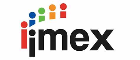 imex logo