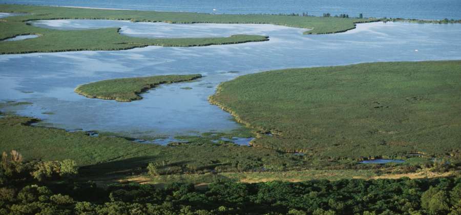 Landscape with forest