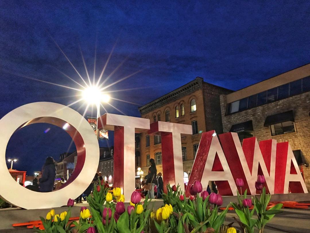 Ottawa Tulips