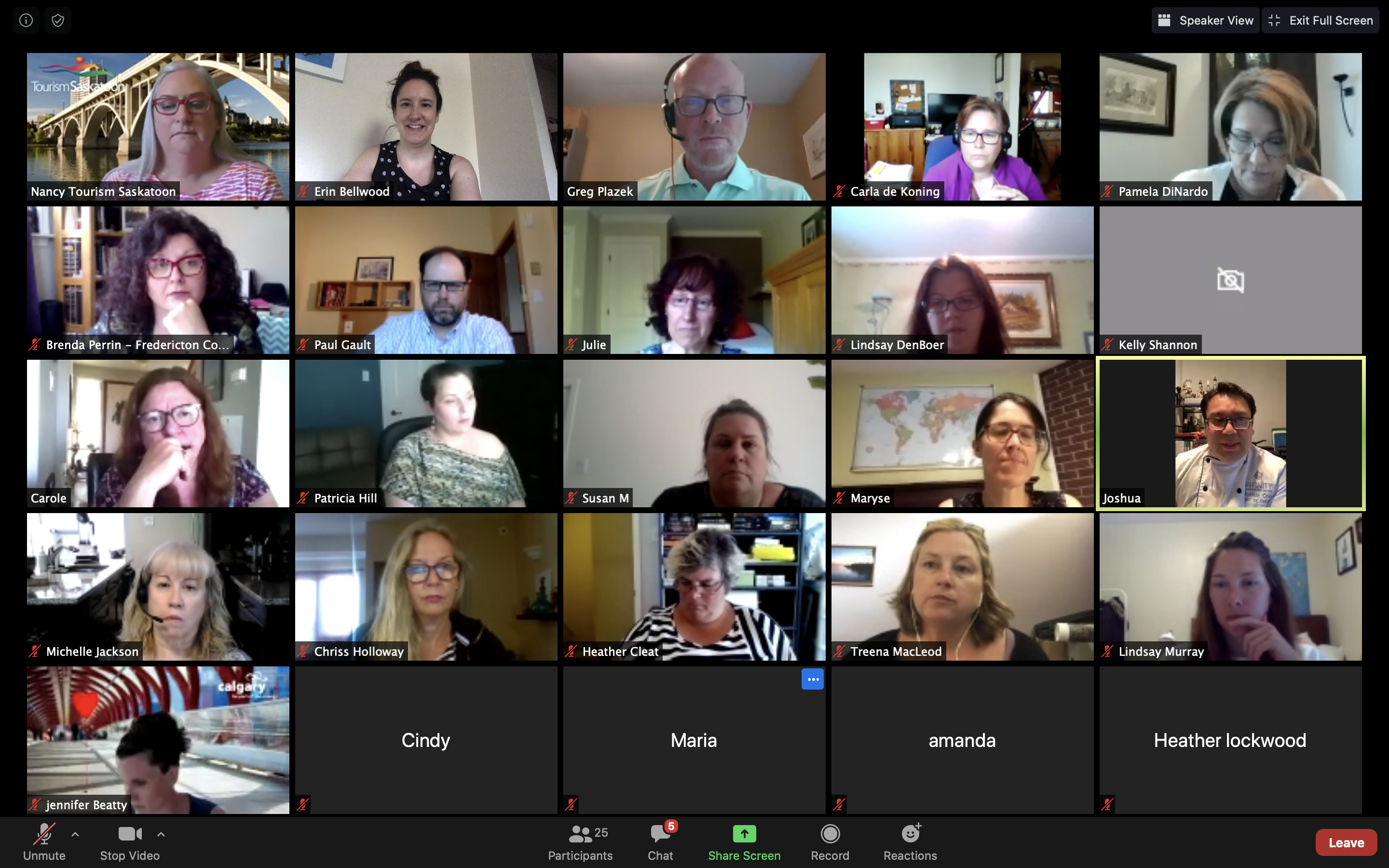 Screen Shot 2020-05-27 at 11.53.37 AM