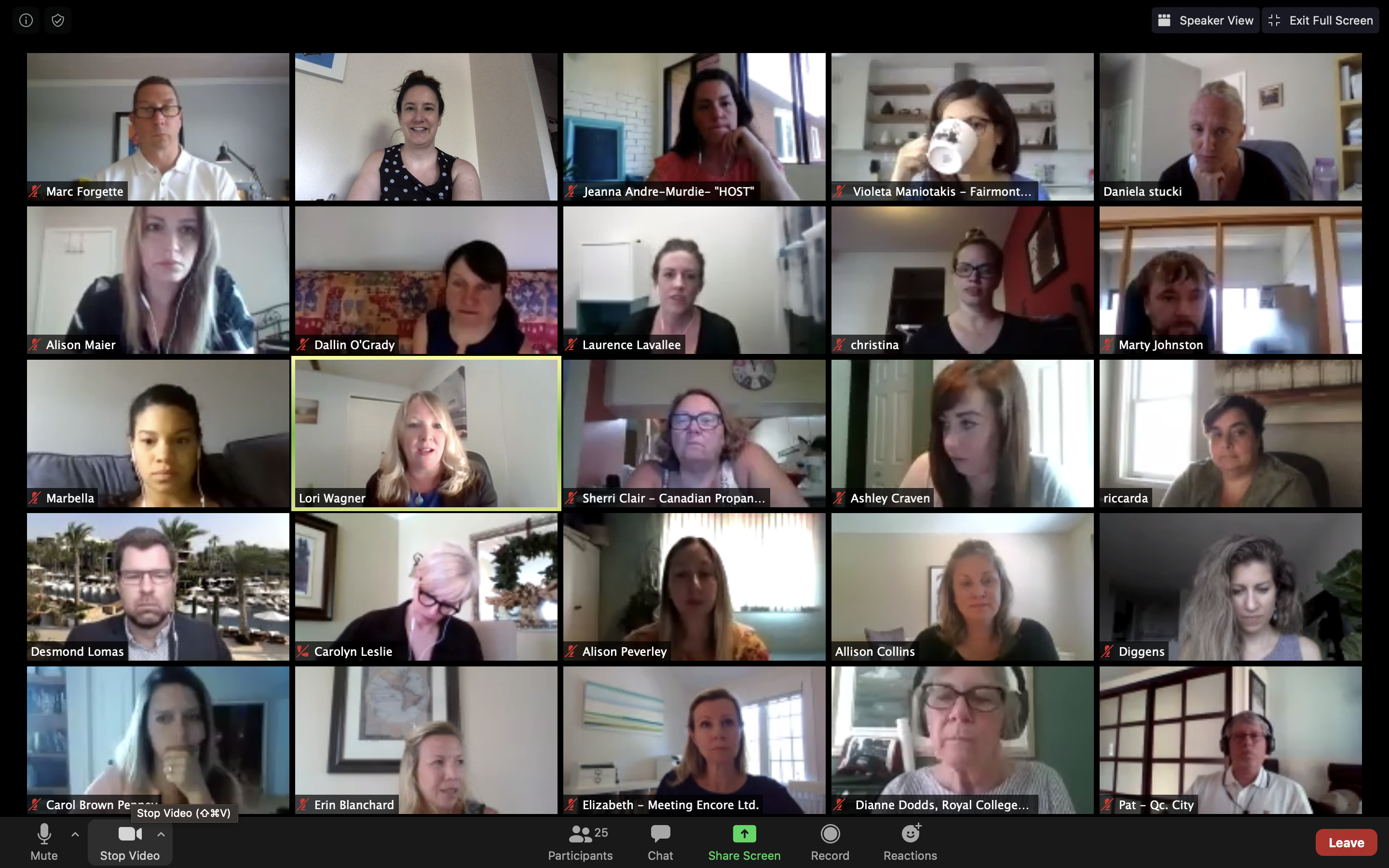 Screen Shot 2020-05-27 at 11.56.55 AM