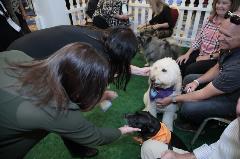 IMEX-Wellness-Image-2