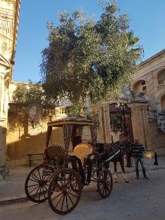 WhatsApp-Image-2018-11-11-at-15.05.32