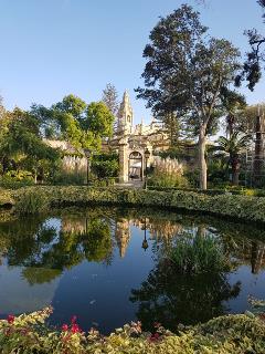 WhatsApp-Image-2018-11-11-at-15.21.01