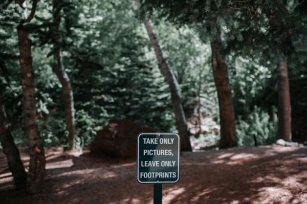 l4mkmalgfppqemmv8ay3