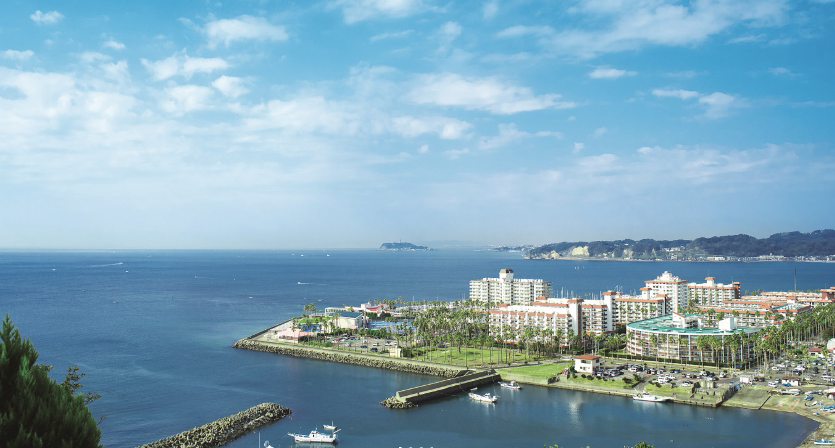 リビエラ逗子マリーナ２